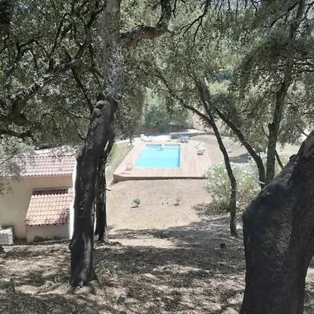 Gites Carbuccia En Corse Avec Piscine Chauffee Exterior photo