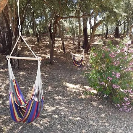 Gites Carbuccia En Corse Avec Piscine Chauffee Exterior photo